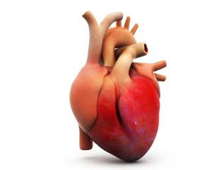 Czynniki ryzyka cukrzycy to choroby serca i układu naczyniowego