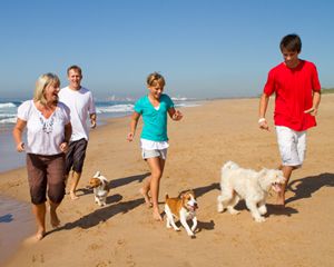 Rodzina diabetykow na spacerze nad brzegiem morza z dwoma psami